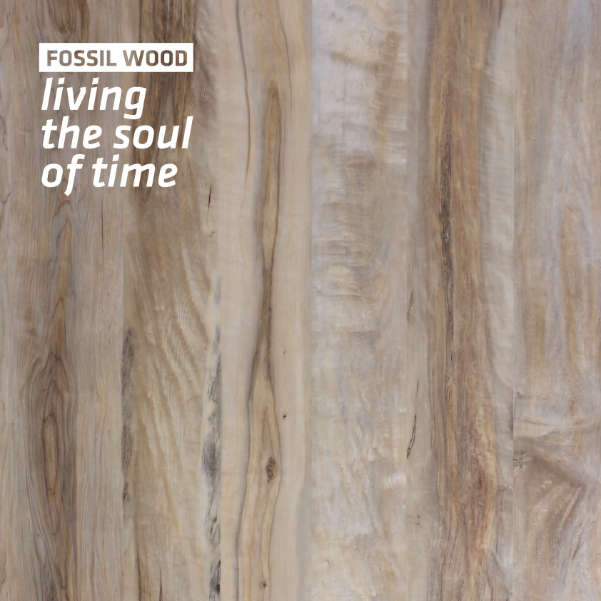 Fossil Wood laminate panel